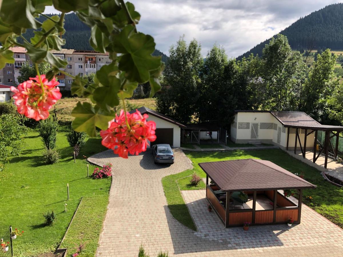 Villa Coca Câmpulung Moldovenesc Exterior foto